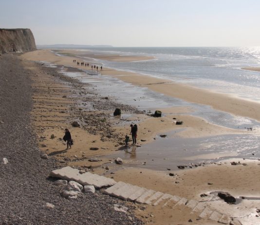 Pas-de-Calais: Eine Fischerin tot an einem Strand bei Boulogne-sur-Mer entdeckt