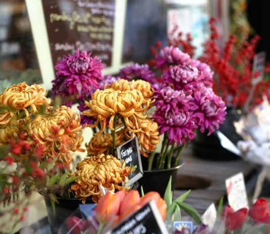 Floristen: Der Staat macht ihnen ein Geschenk, aber nur bis Allerheiligen.