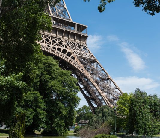 Paris will 170.000 neue Bäume pflanzen und einige Orte in Stadtwälder verwandeln