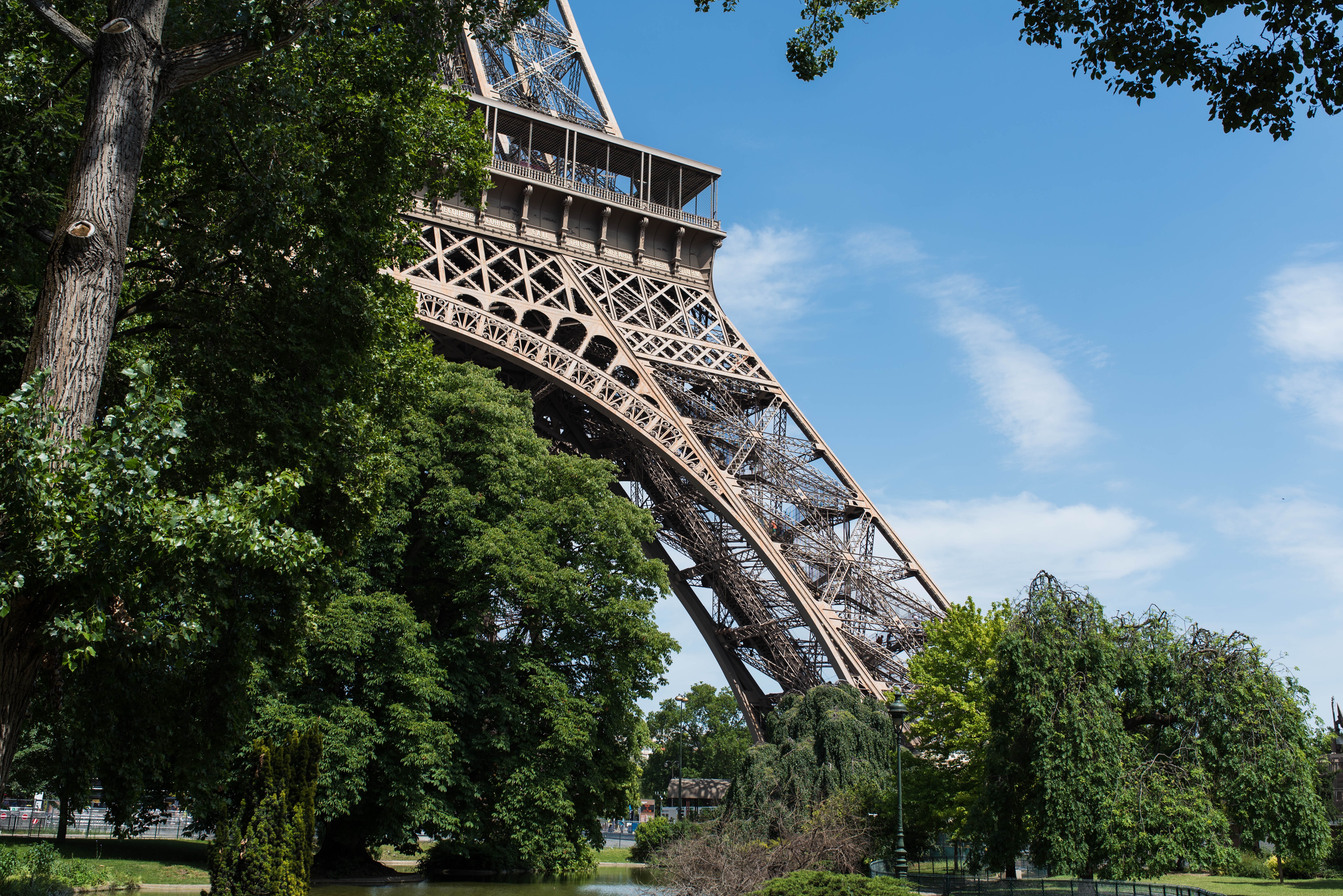 Paris will 170.000 neue Bäume pflanzen und einige Orte in Stadtwälder verwandeln