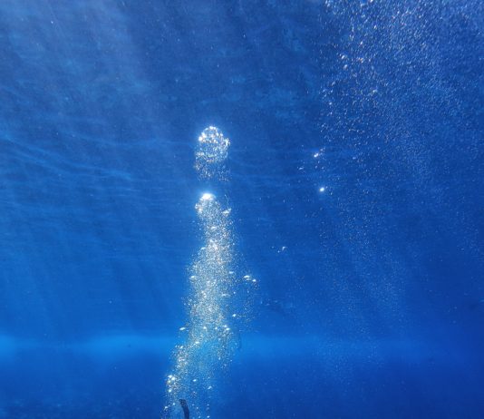 Ein 55-jähriger Taucher stirbt vor Hyères