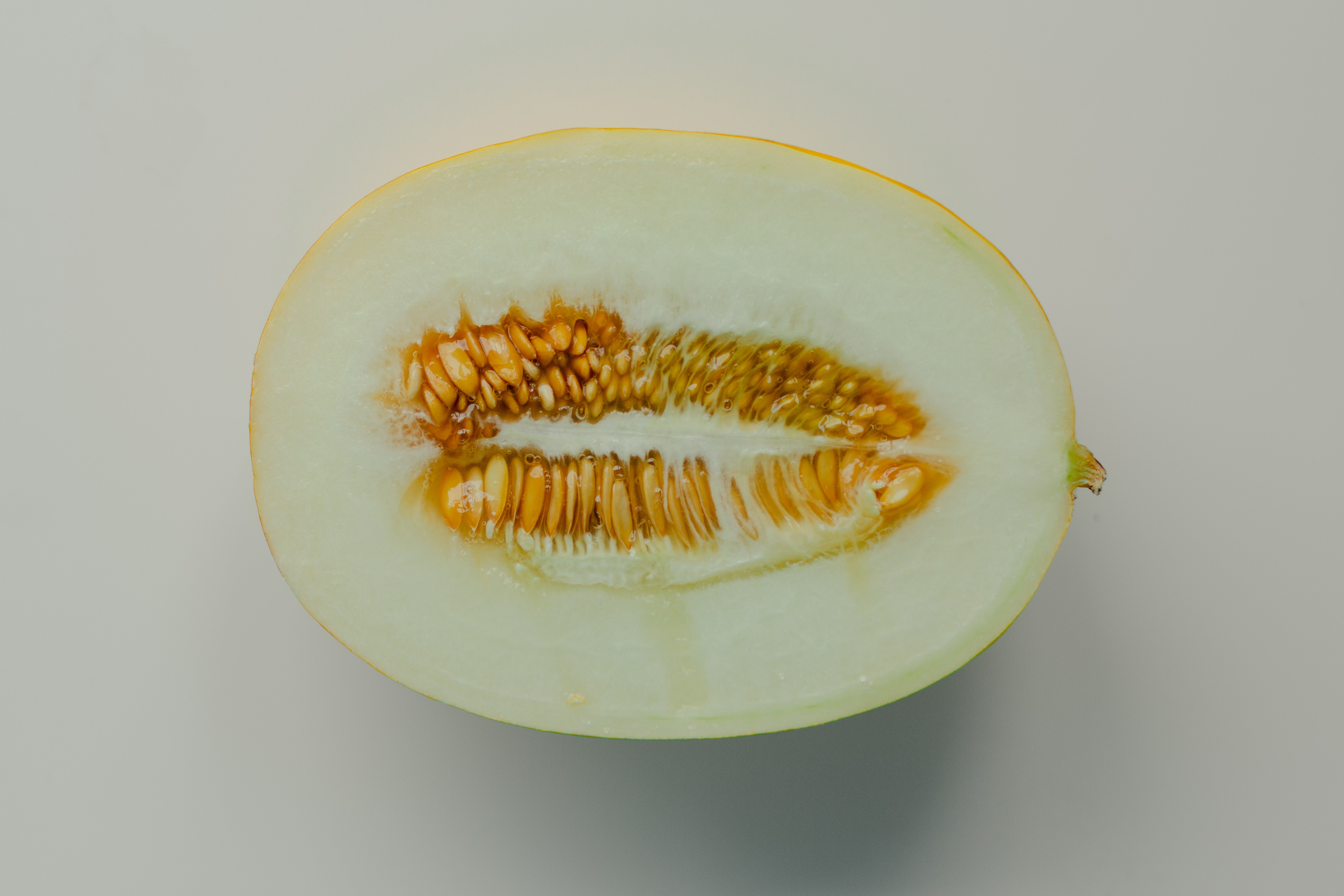 In Frankreich befällt ein neues Virus Zucchini, Gurken und Melonen