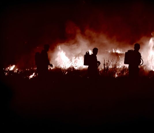 Feuer in Marseille: 7000 m² sind in Rauch aufgegangen, das noch aktive Feuer wird gerade unter Kontrolle gebracht