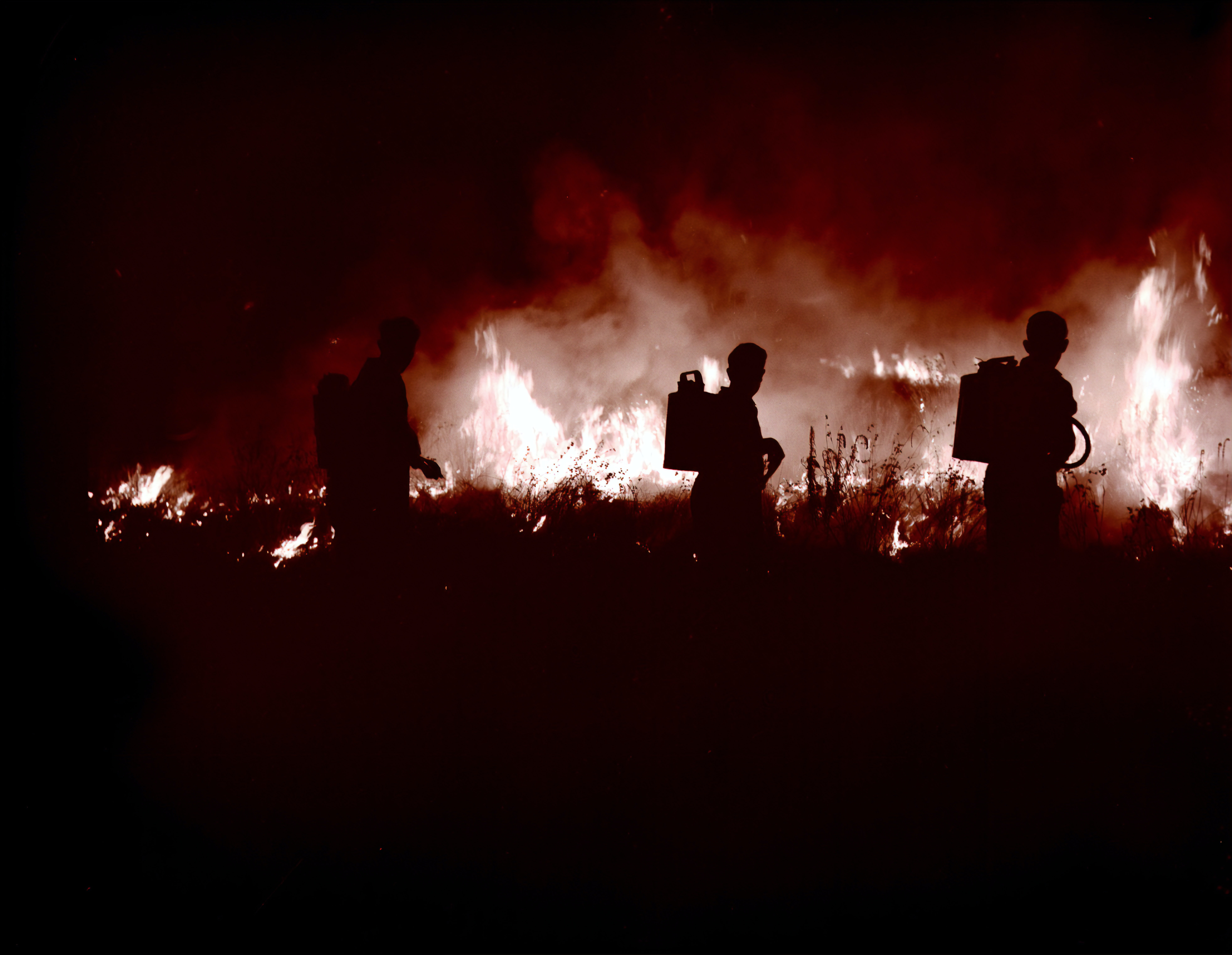 Feuer in Marseille: 100 Feuerwehrleute mobilisiert, das Feuer könnte die ganze Nacht dauern