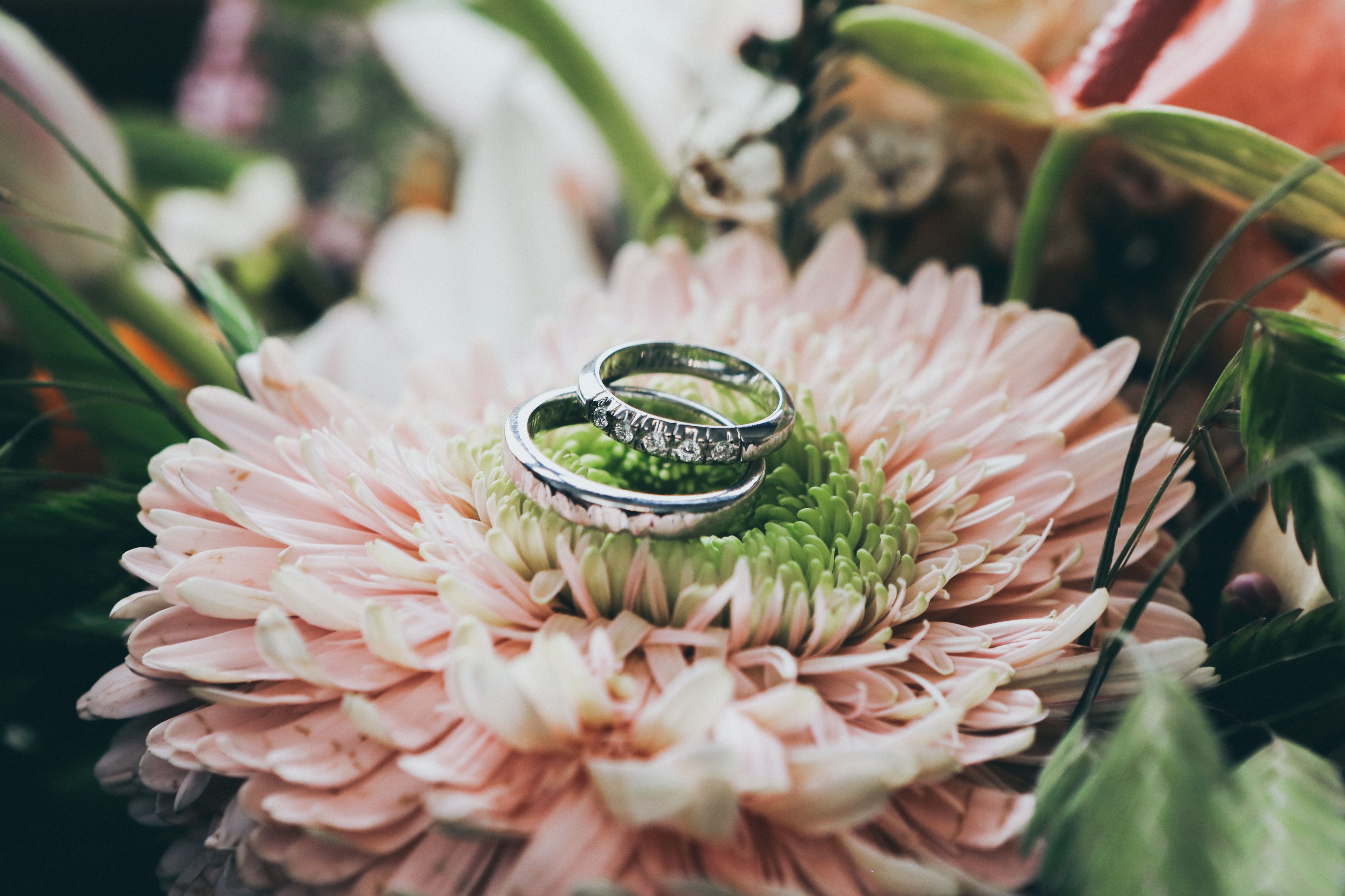 Covid-19: Unter welchen Bedingungen ist es möglich, eine Hochzeit zu organisieren?
