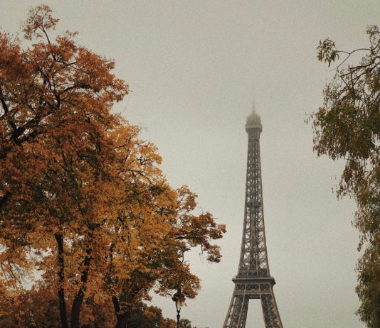 Paris: Zwei Frauen in der Nähe des Eiffelturms wegen eines freilaufenden Hundes mit Messer angegriffen