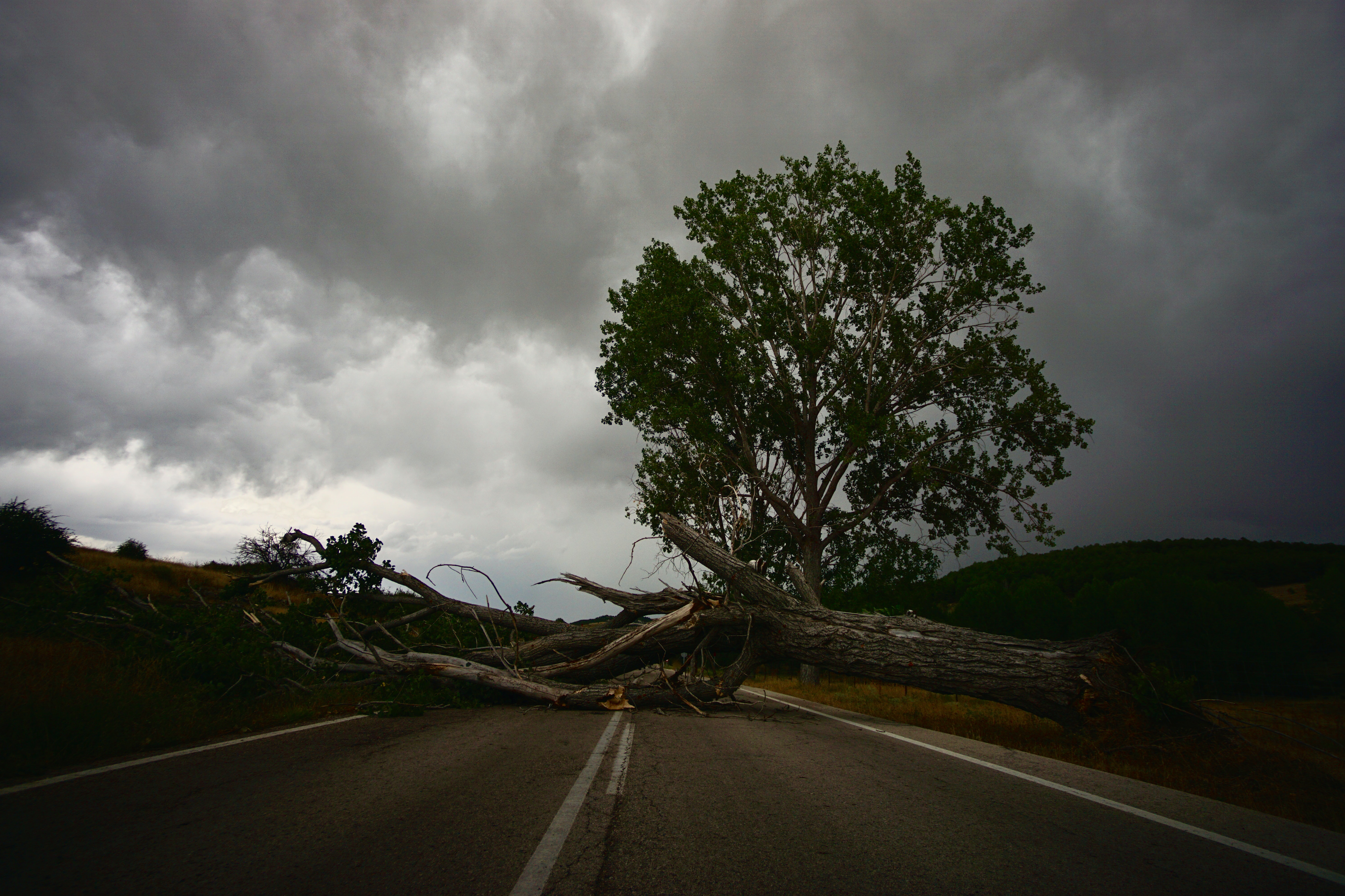 Sturm Barbara: Noch 12.000 Haushalte ohne Strom in der Sarthe und Maine-et-Loire