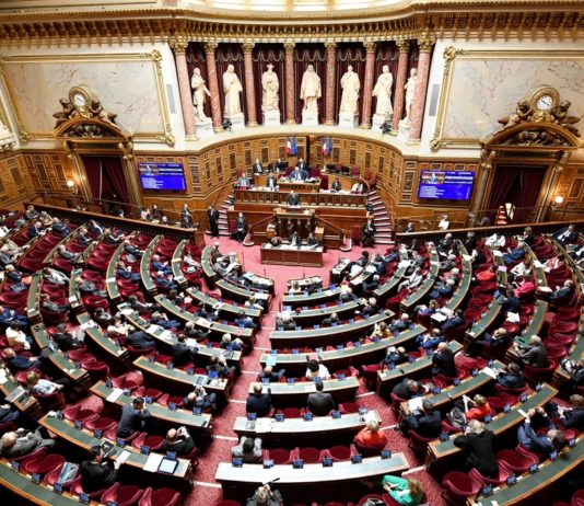 Covid-19: Senat stimmt für die Wiedereröffnung von Bars und Diskotheken