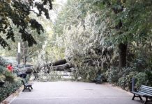 Sturm Barbara: Eine Böe von 212 km/h auf dem Pic du Midi, umgefallene Bäume und gekappte Stromleitungen