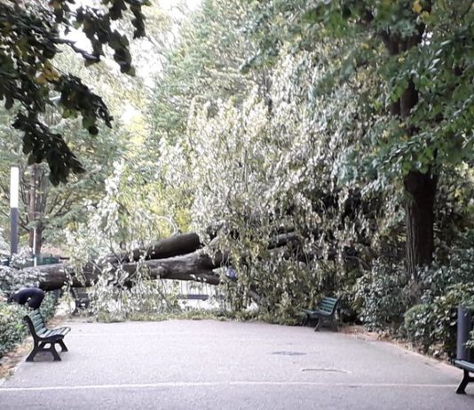 Sturm Barbara: Eine Böe von 212 km/h auf dem Pic du Midi, umgefallene Bäume und gekappte Stromleitungen