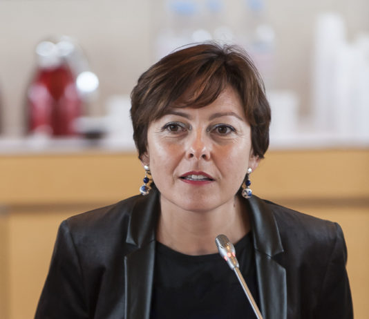 Okzitanien: Erste Region in Europa mit einem Green New Deal