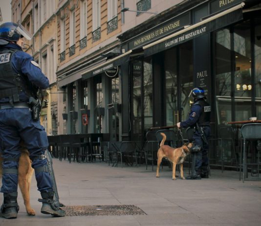 In Frankreich helfen Covid-19-Spürhunde bei der Erkennung von Virus-Trägern