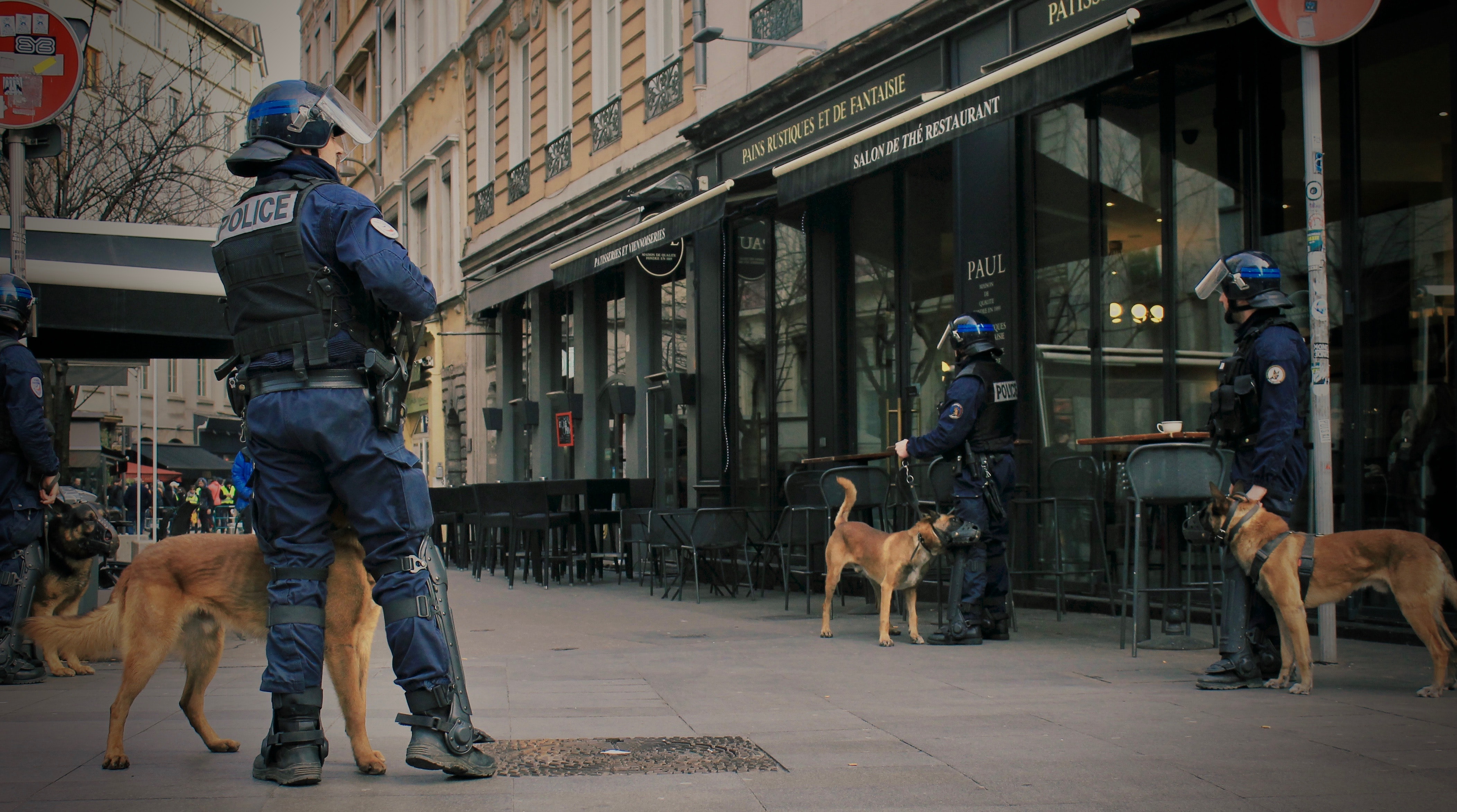 In Frankreich helfen Covid-19-Spürhunde bei der Erkennung von Virus-Trägern