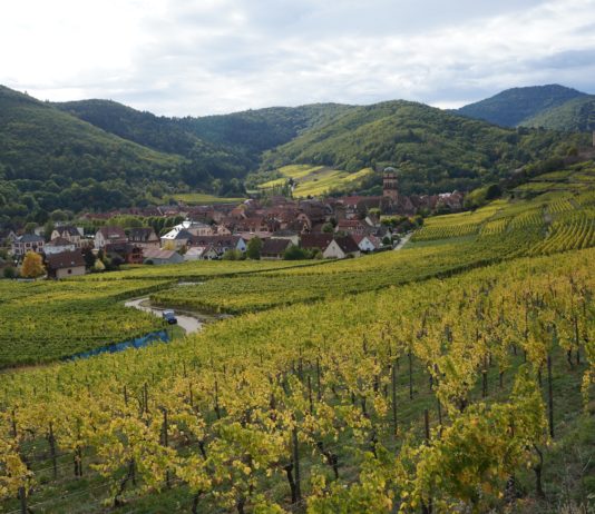 Coronavirus im Elsass: Ein deutscher Radfahrer wird mit 135 Euro Geldstrafe belegt
