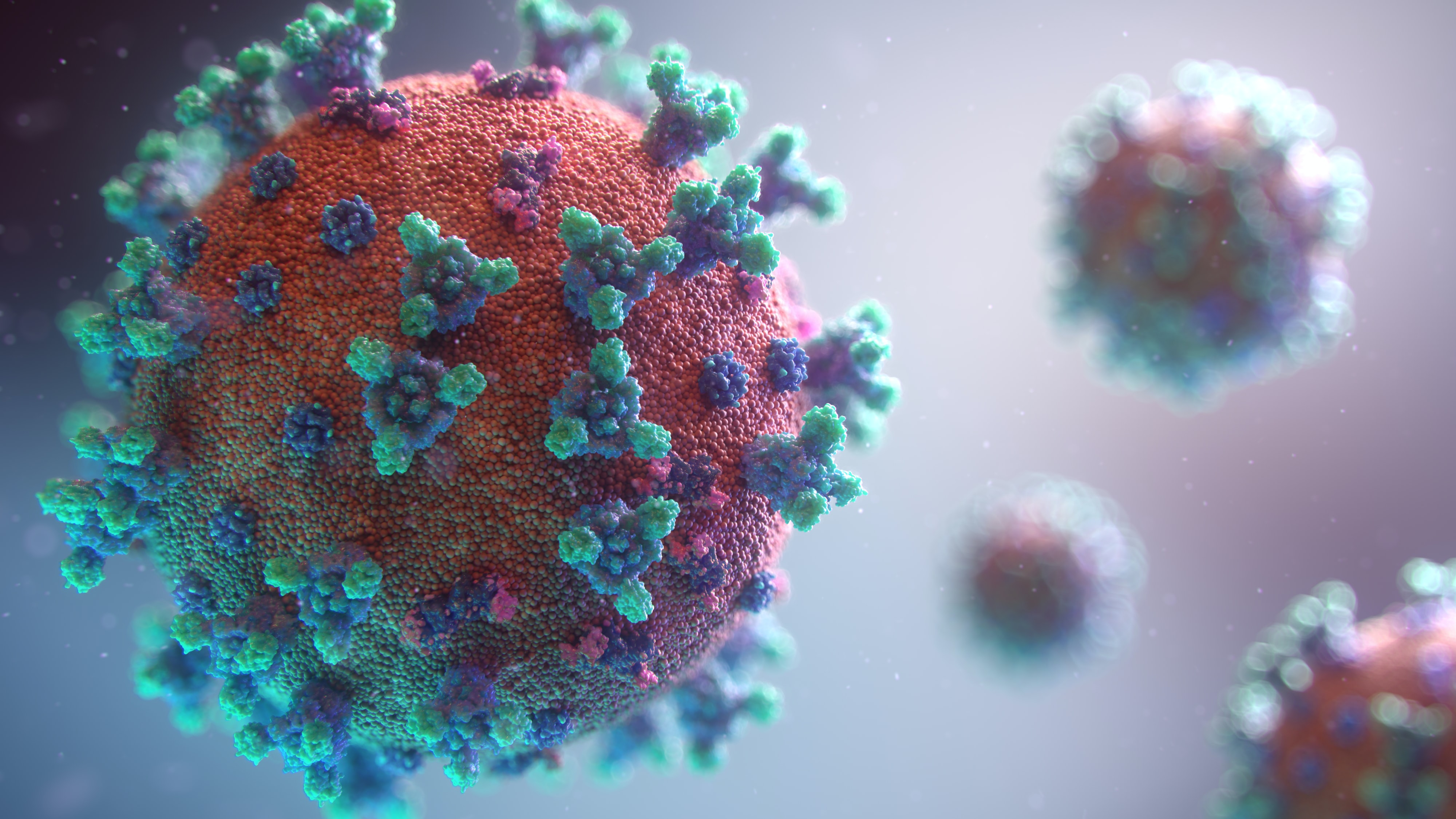 Covid-19: Wie ist der Stand der Entwicklung der Epidemie? Kann Frankreich mit dem Weg aus dem Lockdown beginnen?