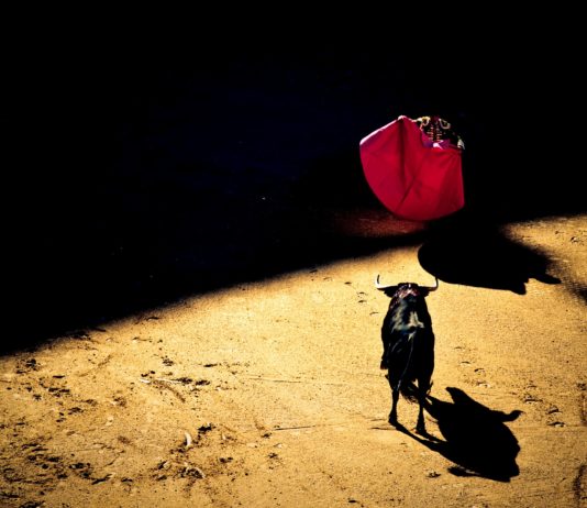Bayonne darf Stierkämpfe trotz Klagen von Tierschützern weiter abhalten