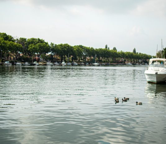 Hérault: Acht Lagunen durch Pestizide verseucht