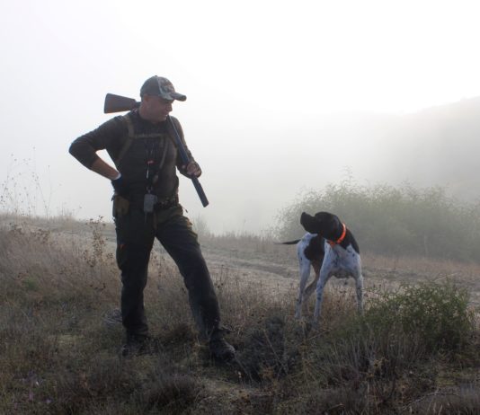 Lockdown: Die Jagd wird an diesem Wochenende dank einer Ausnahmeregelung wieder aufgenommen, aber einige wollen sich nicht, wie geplant, auf großes Wild beschränken.