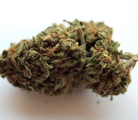 In der Nähe von Dijon: mehr als anderthalb Tonnen Cannabis auf einem spanischen Lastwagen beschlagnahmt