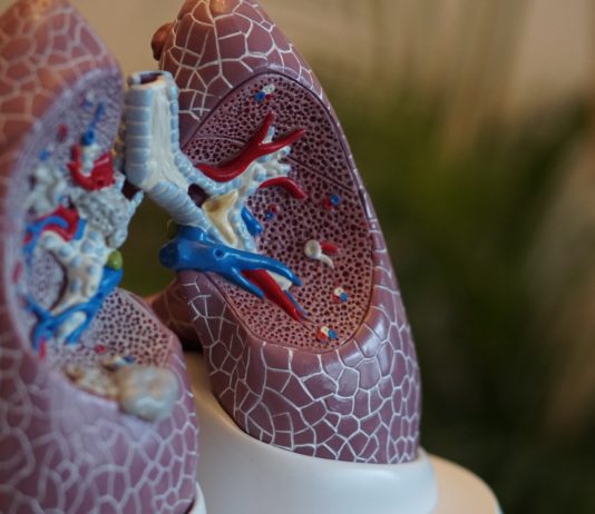 Covid-19: Lungentransplantation