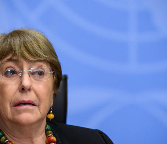 Die UNO fordert die Rücknahme von Artikel 24 des Globalen Sicherheitsgesetzes in Frankreich