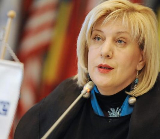 „Globale Sicherheit“: Artikel 24 ist „eine Verletzung der Meinungsfreiheit“, sagt der Europarat