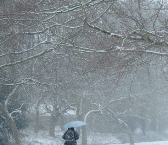 Sturm Bella: Unwetter in der Region Südwest
