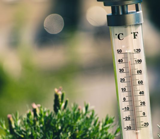 Das Jahr 2020 ist laut Météo France auf dem besten Weg, das wärmste Jahr zu werden, das jemals in Frankreich aufgezeichnet wurde