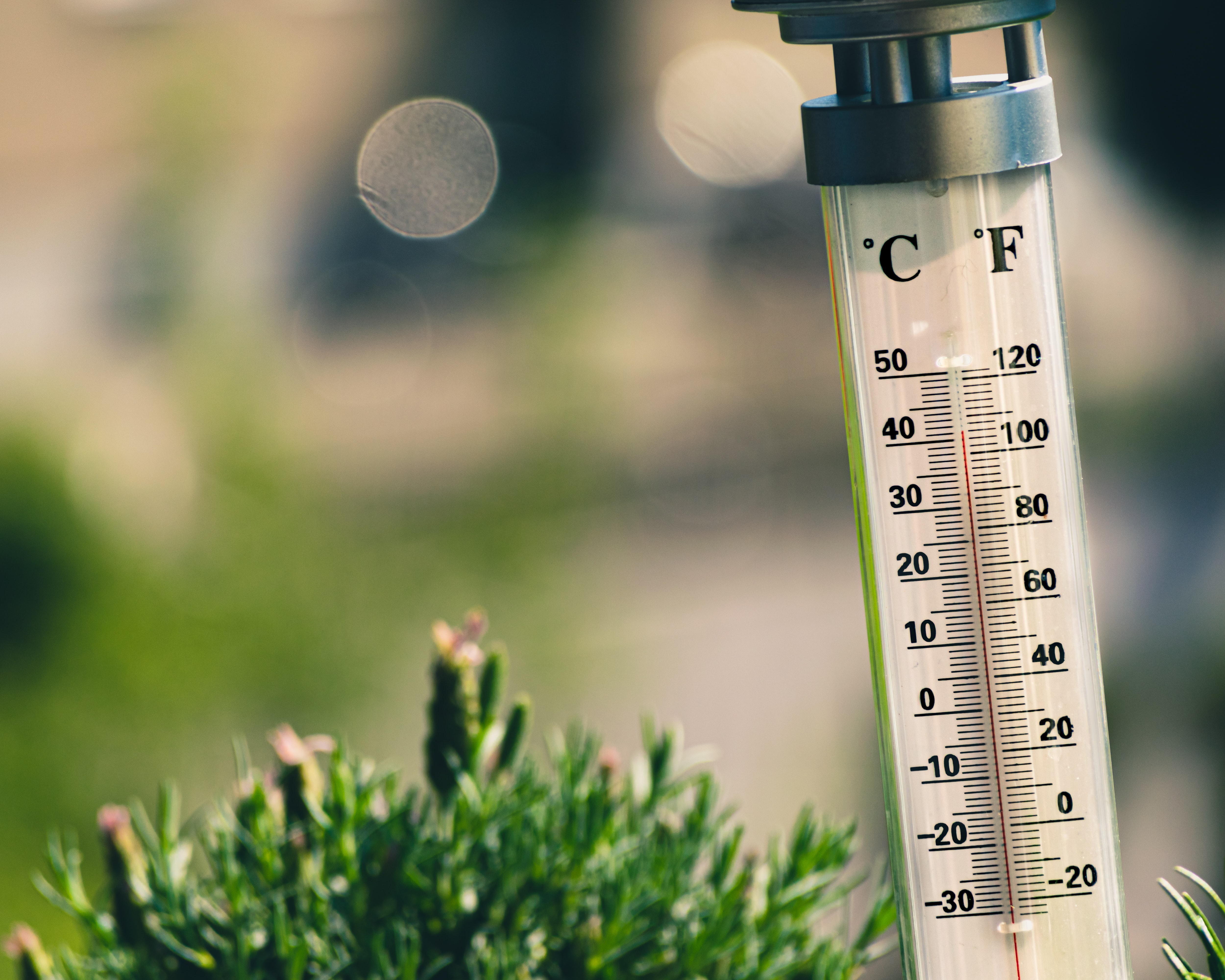 Das Jahr 2020 ist laut Météo France auf dem besten Weg, das wärmste Jahr zu werden, das jemals in Frankreich aufgezeichnet wurde