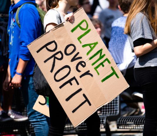 Fünf Jahre nach der Cop 21 ist das Klima laut einer Umfrage zur Priorität der Franzosen geworden.