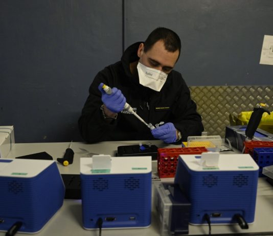 Covid-19: Britische Variante erstreckt sich mittlerweile auf 70 und die südafrikanische auf 31 Länder, meldet die WHO