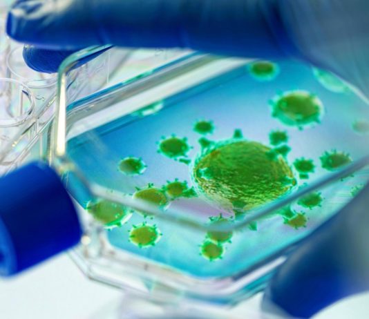 Covid-19: 11 Personen positiv auf die englische Variante in einem Toulouser Altersheim getestet