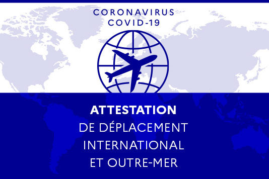 Covid-19: hier sind die beiden neuen Zertifikate für Reisende, die nach Frankreich einreisen wollen