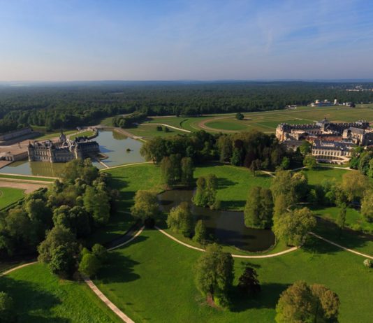 Sie pflanzen Bäume im Wald von Chantilly, um gegen die globale Erwärmung zu kämpfen.