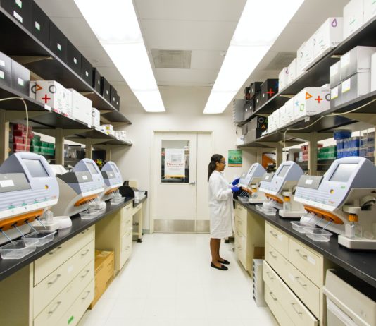 Covid-19: Natürliche Immunität hält laut Studie mindestens 6 Monate nach einer Erstinfektion an