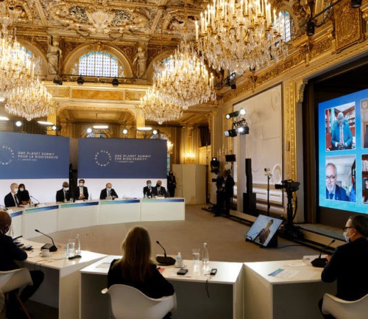 Emmanuel Macron eröffnet „One planet Summit“, der der Artenvielfalt gewidmet ist