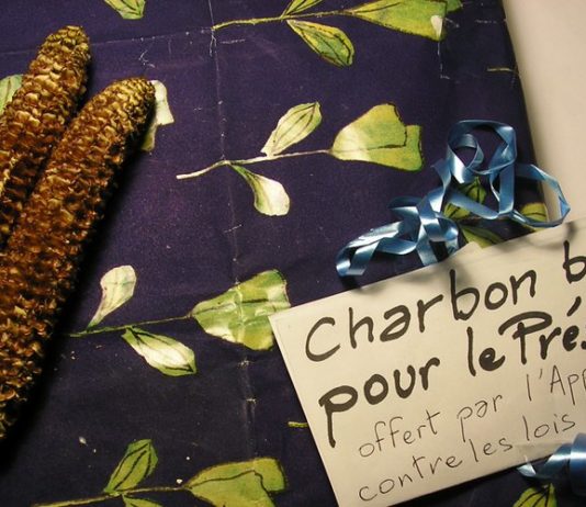 Pamiers: Ein ungewöhnliches Geschenk, das ein Ariegeois zu Weihnachten an Emmanuel Macron schicken wollte