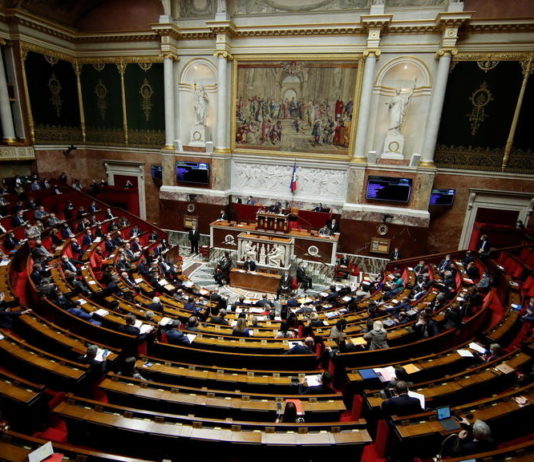 Die Umwelt in der Verfassung verankern? Nationalversammlung