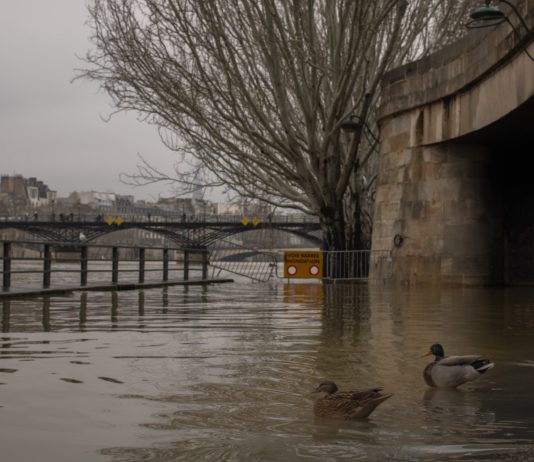 Hochwasseralarm in weiten Teilen Frankreichs – weitere Regenfälle erwartet