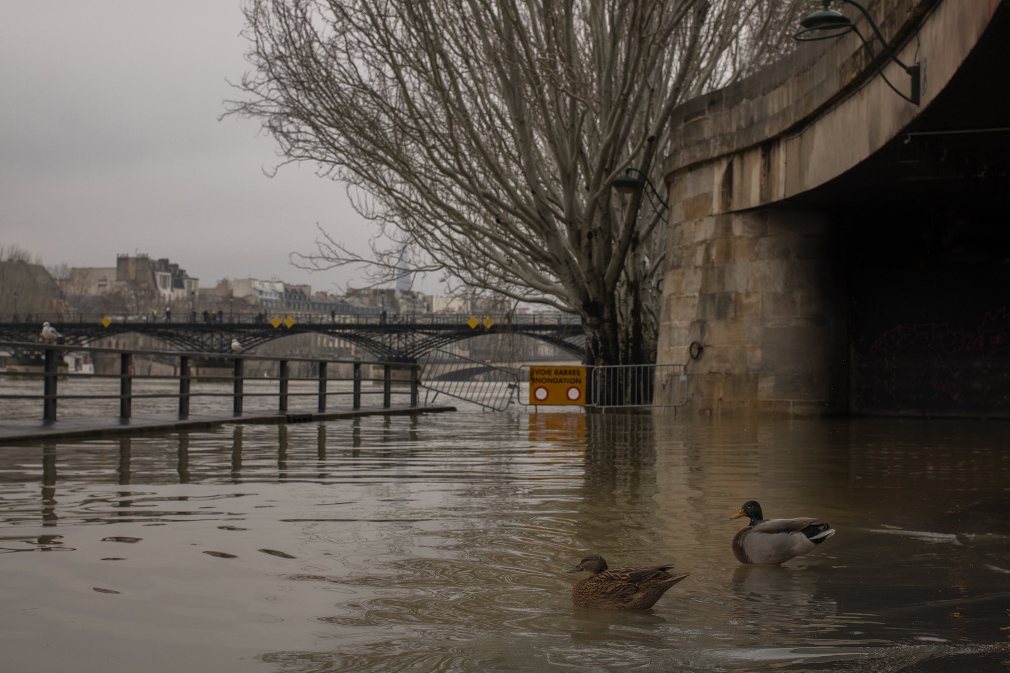 Hochwasseralarm in weiten Teilen Frankreichs - weitere Regenfälle erwartet