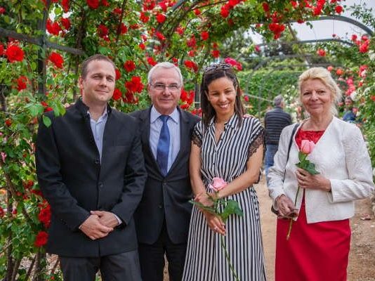 Valentinstag: der Erfolg der außergewöhnlichen Rosen der Familie Meilland
