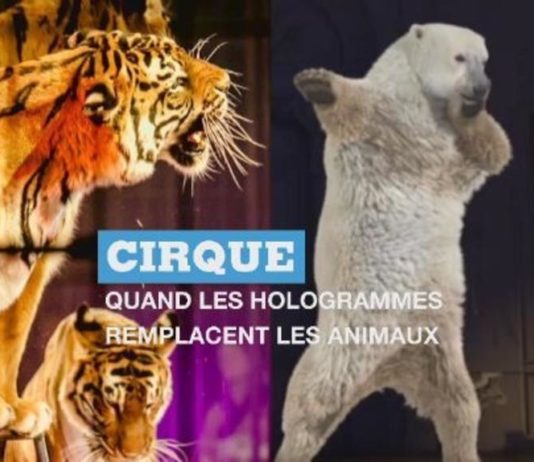 Zirkus: wenn Hologramme Tiere ersetzen