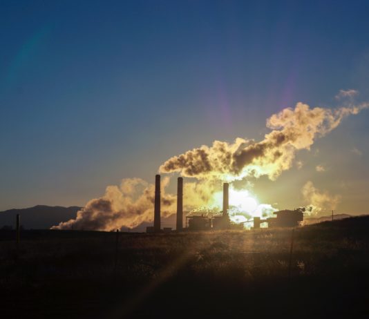 Klima: Der Staat wird von der Justiz für Versäumnisse im Kampf gegen die Erderwärmung verantwortlich gemacht