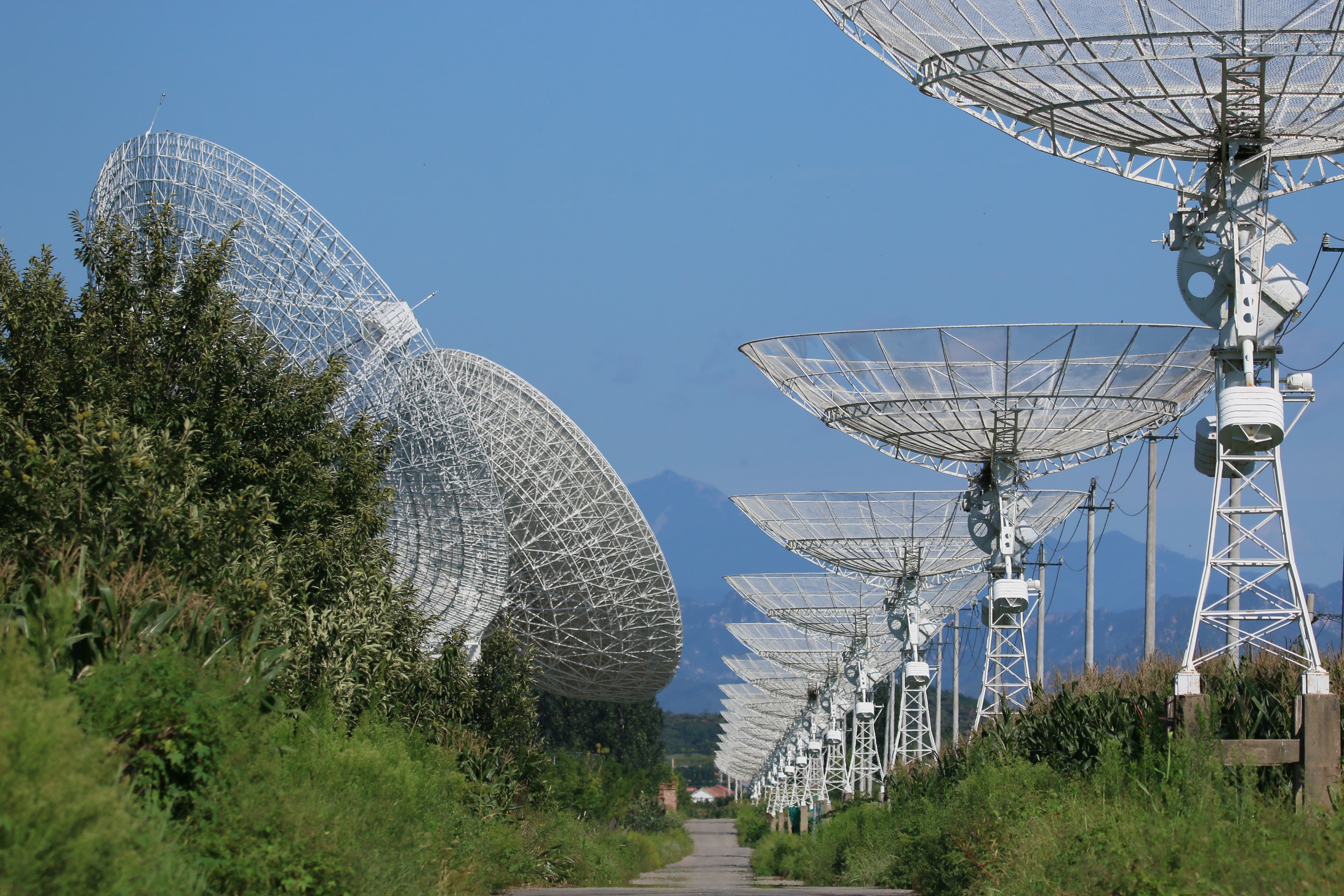 Das französische Dorf, das Elon Musks Traum vom Internet aus dem Weltall blockiert