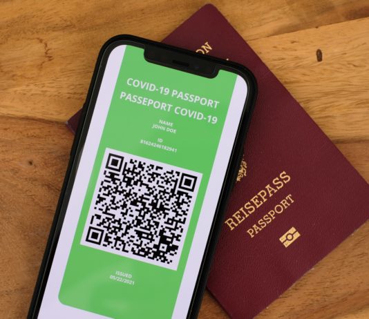 Covid-19: Impfpass, Gesundheitspass, Flashcode… Was ist in Frankreich geplant?