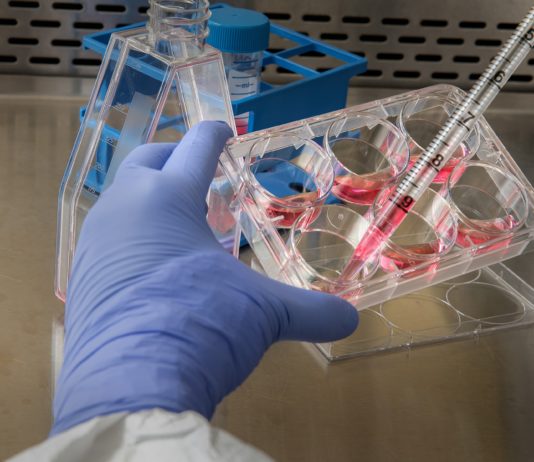 Covid-19: Müssen wir uns über die neue bretonische Variante Sorgen machen?