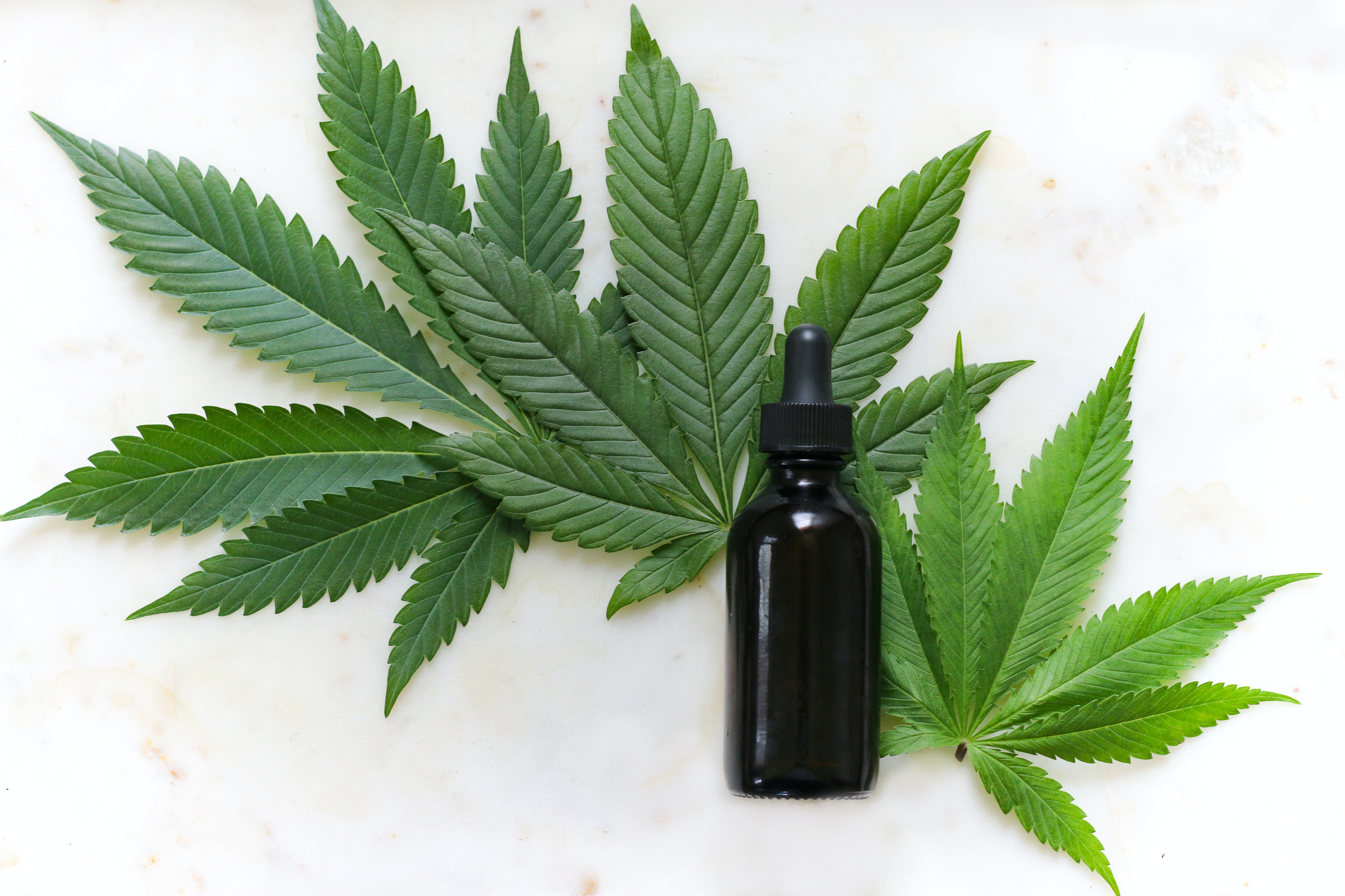 Cannabis: 80% der Bürger stimmen für die Legalisierung