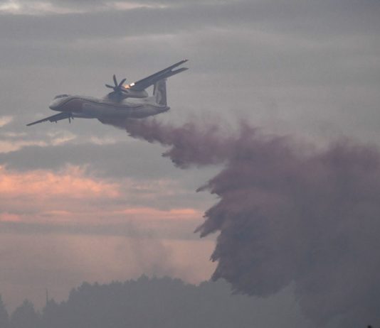 Charente: 400 Hektar Wald nach mehreren Brandausbrüchen zerstört Waldbrand