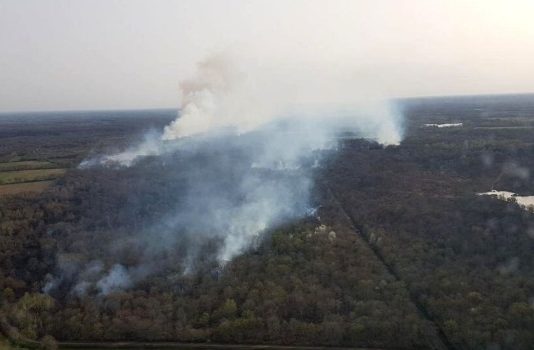 Gironde: Waldbrand von Avensan endlich unter Kontrolle – 290 Hektar Wald wurden zerstört