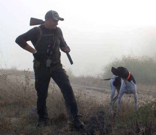 Die Brigitte-Bardot-Stiftung startet eine Anti-Jagd-Kampagne – Jäger erstatten Anzeige Jagd_Illustration